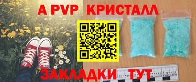 стафф Дубна
