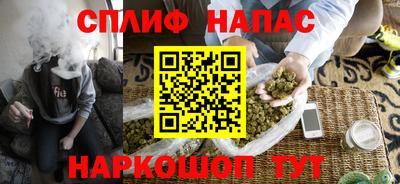 стафф Дубна