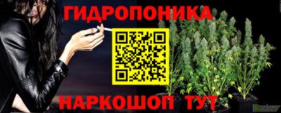 СК Донской