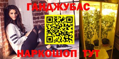 стафф Дубна