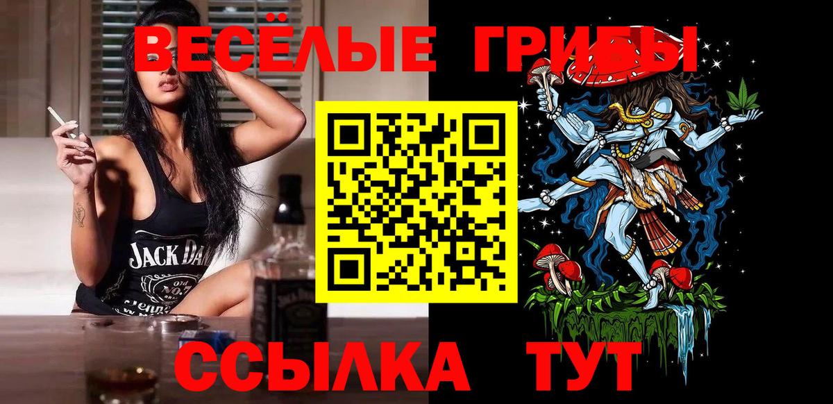 Галлюциногенные грибы GOLDEN TEACHER Малгобек
