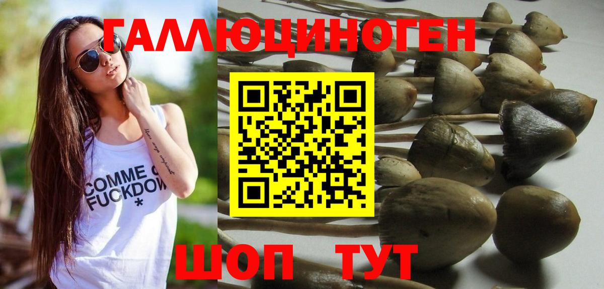 Галлюциногенные грибы Cubensis  Галлюциногенные грибы мицелий  Малгобек  Вход с VPN 