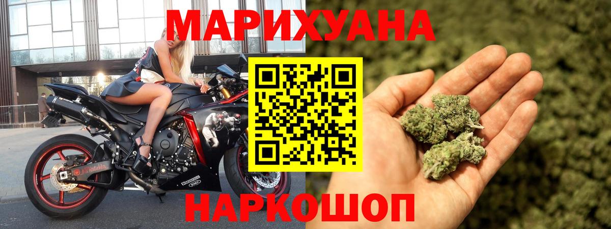 Бошки марихуана индика  Шишки марихуана план  Каннабис сатива  Вход с VPN  Малгобек 